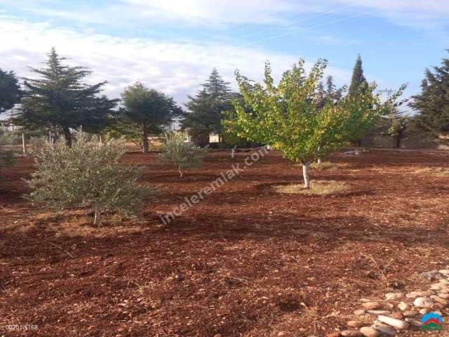 Adıyaman Karagöl'de Satılık 5128M2 Anayolda Mükemmel Arazi
