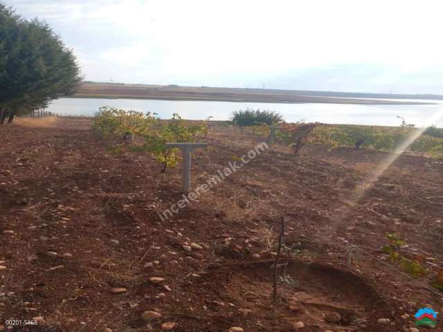 Adıyaman Karagöl'de Satılık 5128M2 Anayolda Mükemmel Arazi