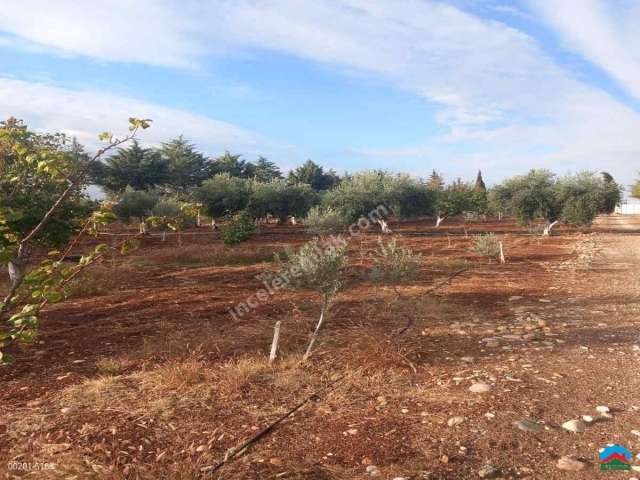 Adıyaman Karagöl'de Satılık 5128M2 Anayolda Mükemmel Arazi