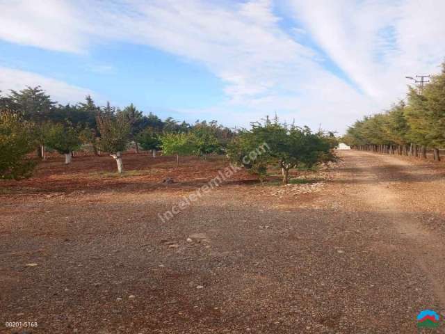 Adıyaman Karagöl'de Satılık 5128M2 Anayolda Mükemmel Arazi