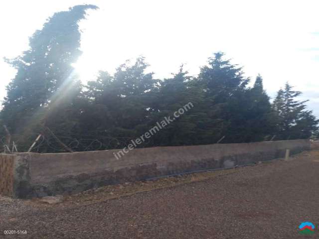 Adıyaman Karagöl'de Satılık 5128M2 Anayolda Mükemmel Arazi