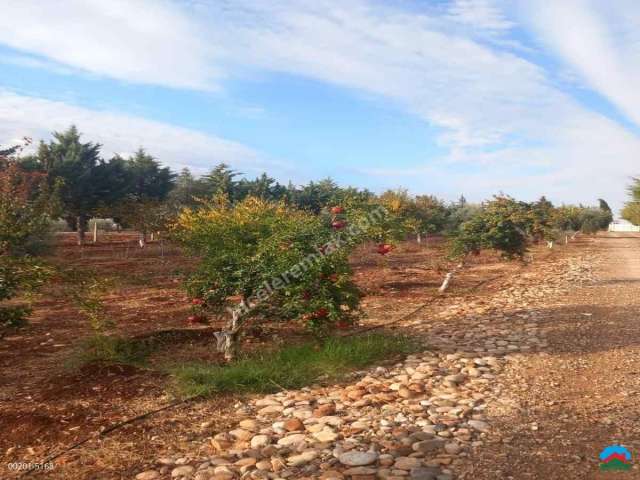 Adıyaman Karagöl'de Satılık 5128M2 Anayolda Mükemmel Arazi