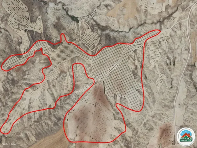 Adıyaman Uğurca Köyünde Satılık 140 Dönüm Dev Bahçe