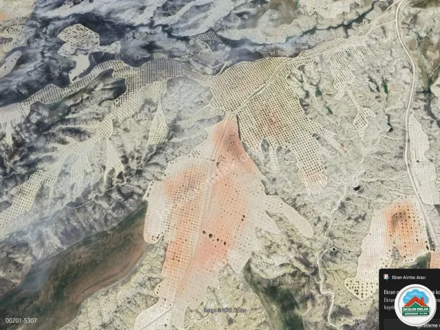 Adıyaman Uğurca Köyünde Satılık 140 Dönüm Dev Bahçe