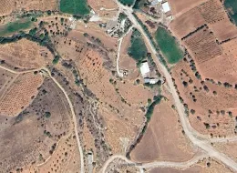 Adıyaman Örenli'de Satılık 9 Dönüm Bahçe