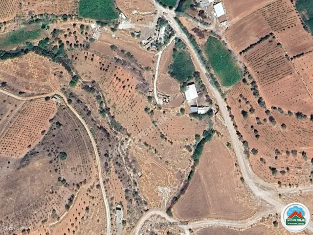 Adıyaman Örenli'de Satılık 9 Dönüm Bahçe
