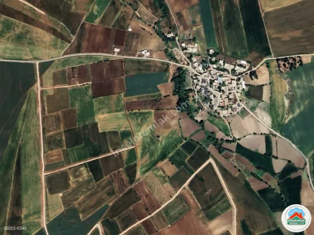 Adıyaman Başpınarda Acil Satılık 1.6 Dönüm Mükemmel Bağ