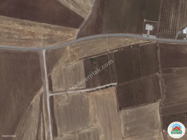 Adıyaman Başpınarda Acil Satılık 1.6 Dönüm Mükemmel Bağ