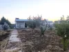 Adıyaman Paşamezrasında Satılık 1 Dönüm Arsalı Bağ Evi
