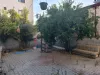 Adıyaman Altınşehir Gazihan Cad. Cepheli Kiralık Dükkan