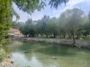Kahramanmaraş Heletede Satılık Turistik İşletme