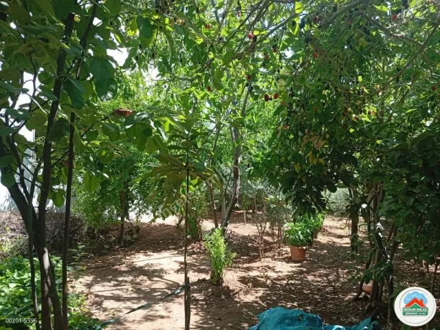 Adıyaman Kahta Hürriyet Mahallesinde 450 m² Arsa Üzeri 2 Kat