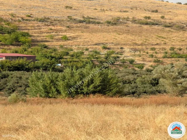 Malatya Erkenekte Satılık 22 Dönüm Verimli Bahçe