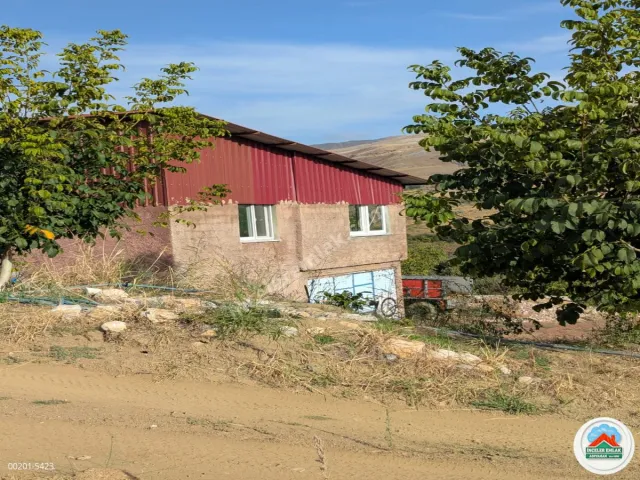 Malatya Erkenekte Satılık 22 Dönüm Verimli Bahçe