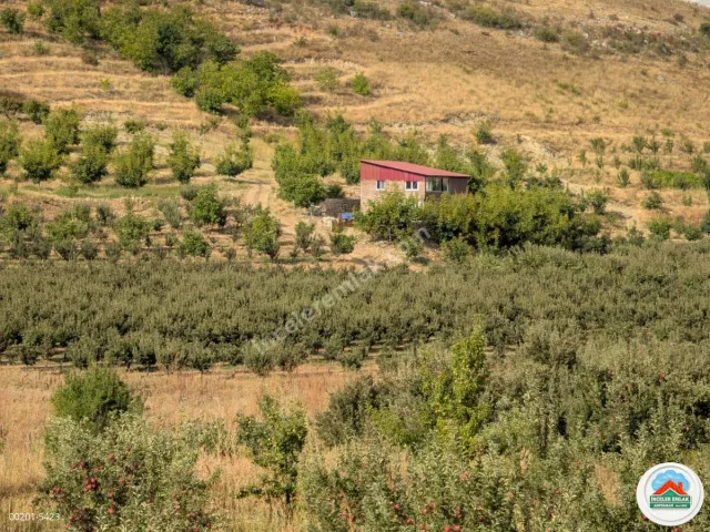Malatya Erkenekte Satılık 22 Dönüm Verimli Bahçe