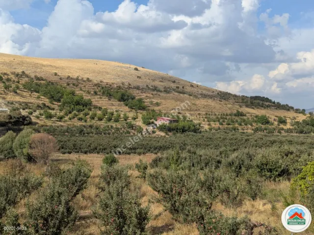 Malatya Erkenekte Satılık 22 Dönüm Verimli Bahçe