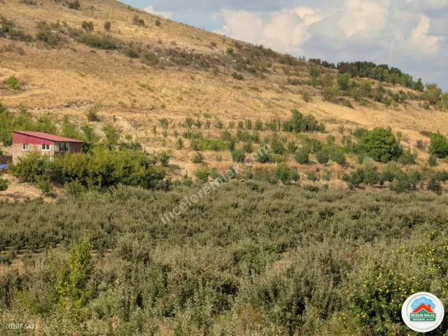 Malatya Erkenekte Satılık 22 Dönüm Verimli Bahçe