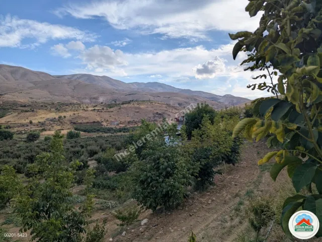 Malatya Erkenekte Satılık 22 Dönüm Verimli Bahçe