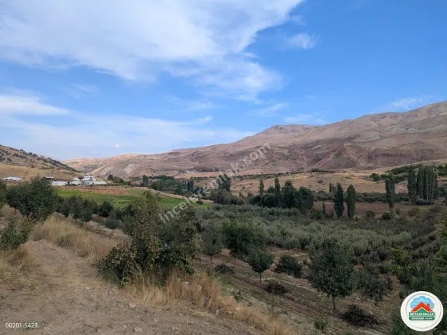 Malatya Erkenekte Satılık 22 Dönüm Verimli Bahçe
