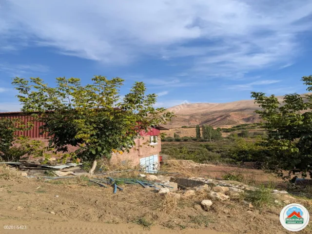 Malatya Erkenekte Satılık 22 Dönüm Verimli Bahçe