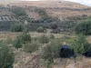 Malatya Erkenekte Satılık 22 Dönüm Verimli Bahçe