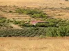Malatya Erkenekte Satılık 22 Dönüm Verimli Bahçe