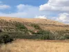Malatya Erkenekte Satılık 22 Dönüm Verimli Bahçe