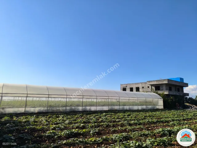 Adıyaman Hasankendide Satılık Sıfır Ev Ve Sera