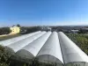 Adıyaman Hasankendide Satılık Sıfır Ev Ve Sera