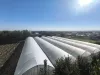 Adıyaman Hasankendide Satılık Sıfır Ev Ve Sera